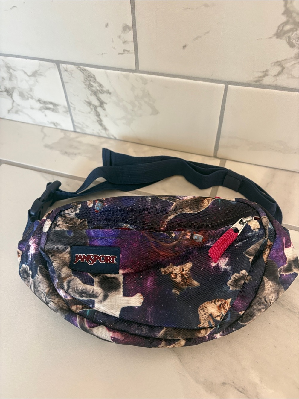 Jansport Fifth Avenue Fanny Pack in "Astro Kitty"